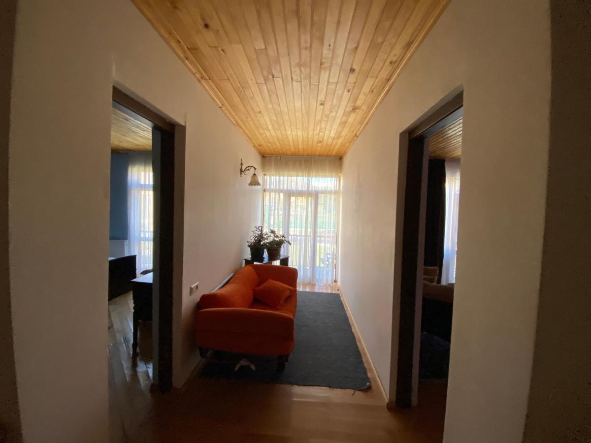 Manana Japaridze'S Guesthouse Mestia Ngoại thất bức ảnh